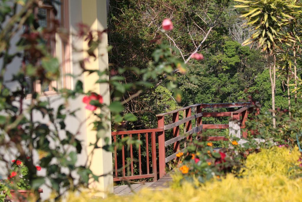 Hotel Las Orquideas Monteverde Kültér fotó